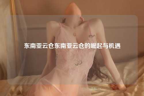 东南亚物流革命的领航者